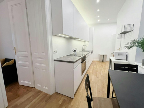 Neustiftgasse, Vienna