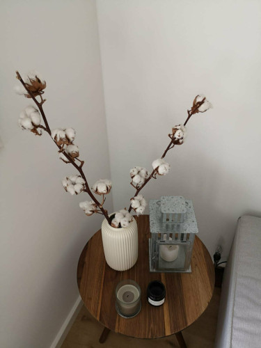 Awesome & neat home in Braunschweig