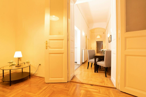 Teréz körút, Budapest - Gallery - 12
