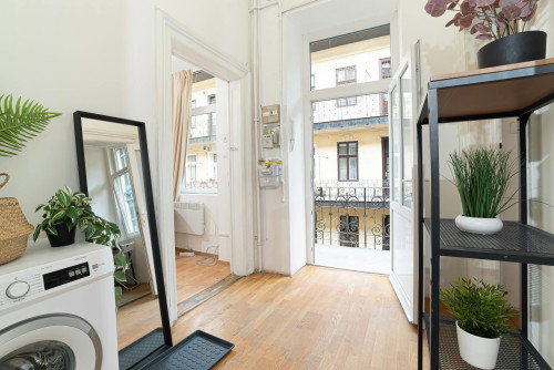 Teréz körút, Budapest - Gallery - 5
