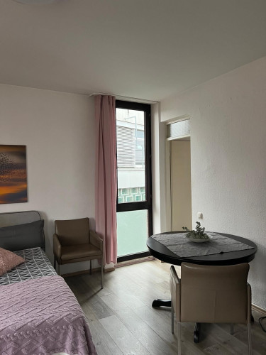 Modern & perfect suite (Aachen)