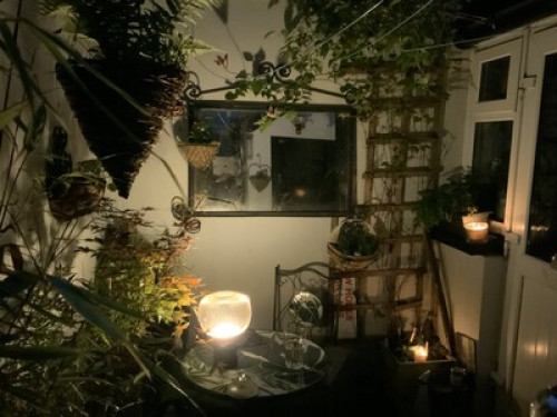 Eastside Bloom  - Gallery - 6