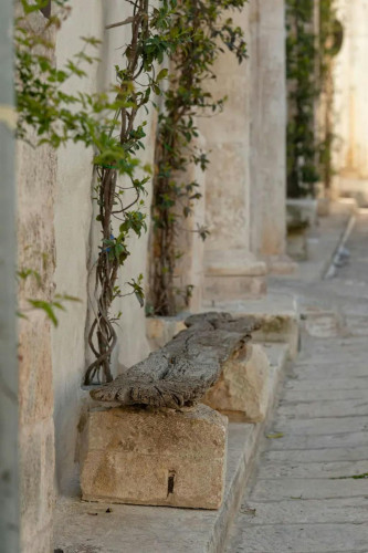 Via Dottor Francesco Rodio, Ostuni - Gallery - 8