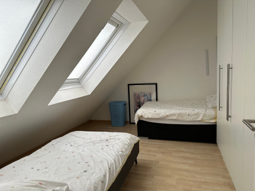 Wonderful & charming apartment in Hilden  - Gallery -  5