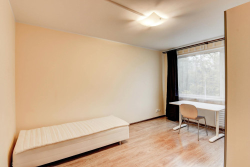 Didlaukio gatvė, Vilnius
