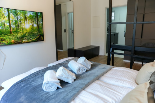 Spacious & fashionable studio (Düsseldorf)