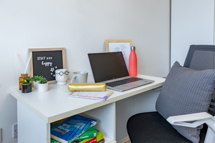  اونسويت ستاندرد  -  ماي باد بيسلي  - Gallery -  6