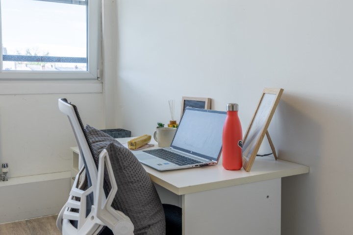  اونسويت ستاندرد  -  ماي باد بيسلي  - Gallery -  4