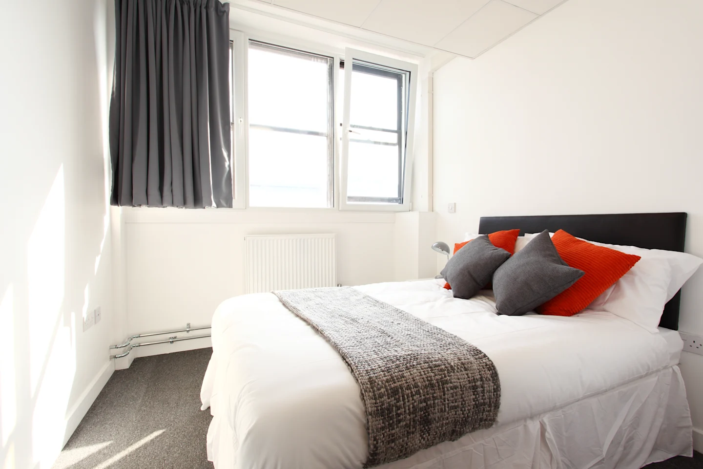  اونسويت كلاسيك  -  ماي باد بيسلي  - Gallery -  3