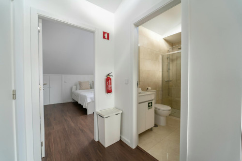 Rua Dom Pedro V, Braga - Gallery - 10