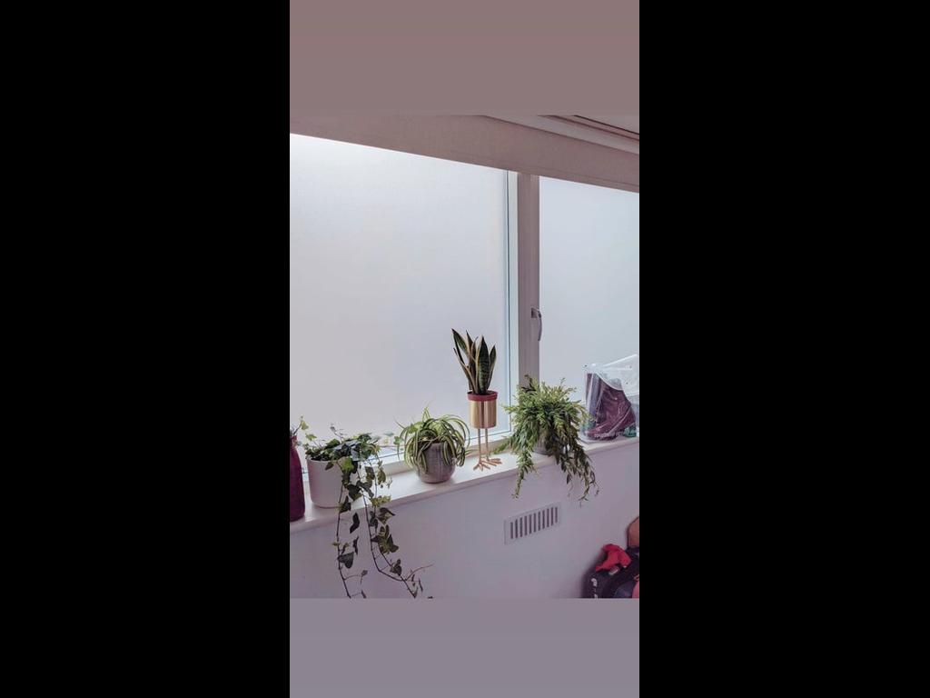 Bastianstraße, Berlin