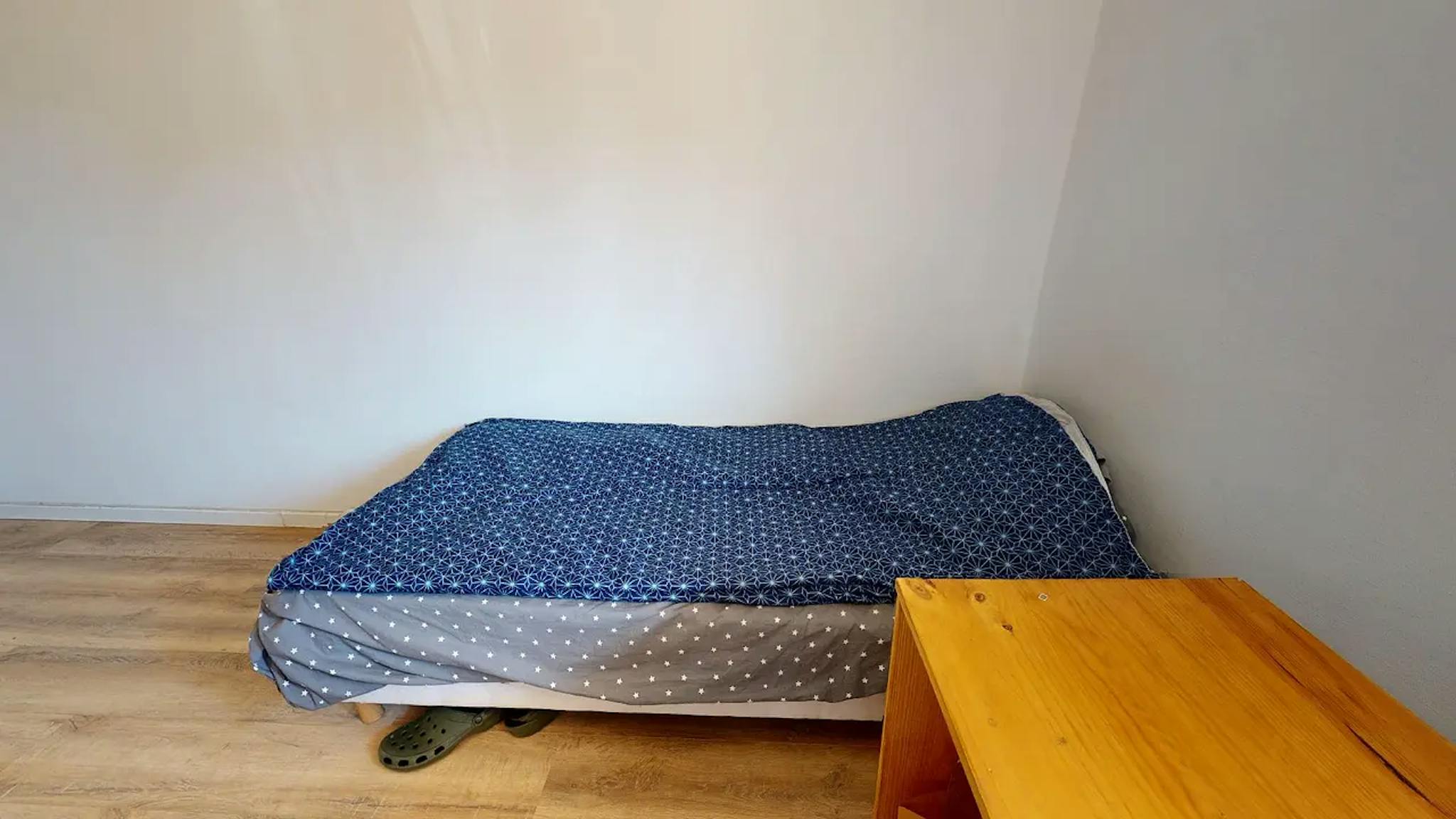  Private Room  -  Rue Alexis Perroncel, Villeurbanne  - Gallery -  1
