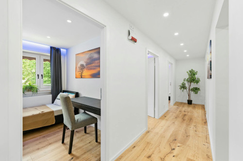 Warwick Road, London  - Gallery -  5