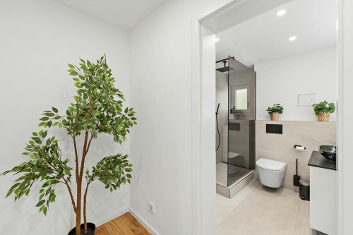 Warwick Road, London  - Gallery -  3