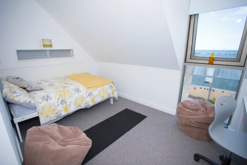 East Shore - Gallery - 20