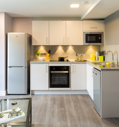  Grande Apartment  -  Iconinc, The Glassworks  - Gallery -  13