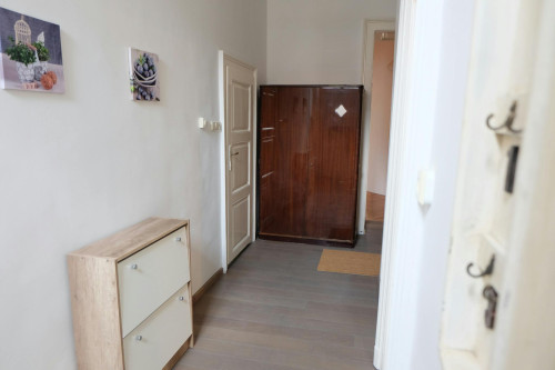 József körút, Budapest