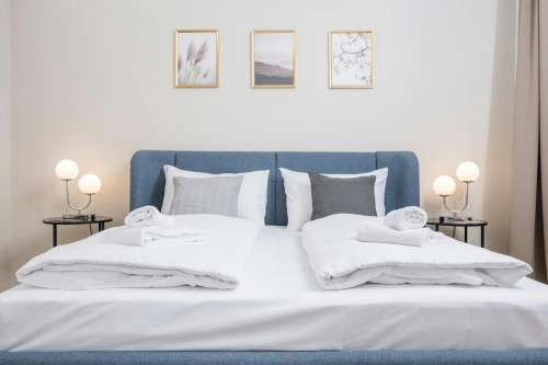 Liechtensteinstraße, Vienna