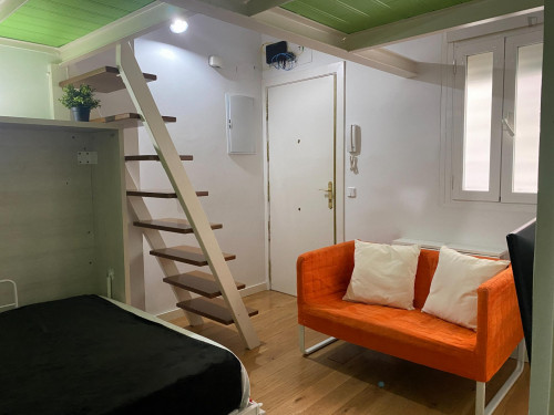 Ample and comfy studio in Lavapiés - Gallery - 9
