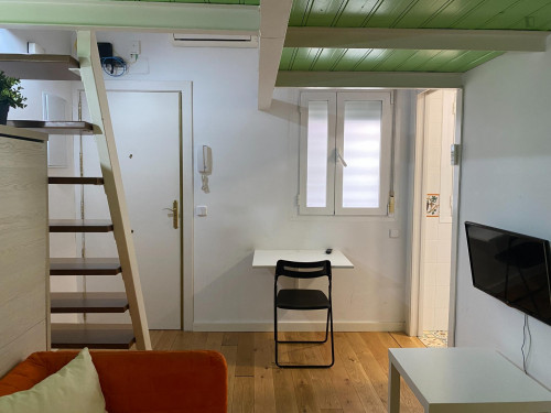 Ample and comfy studio in Lavapiés