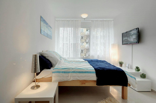 Schleißheimer Straße, Munich - Gallery - 12