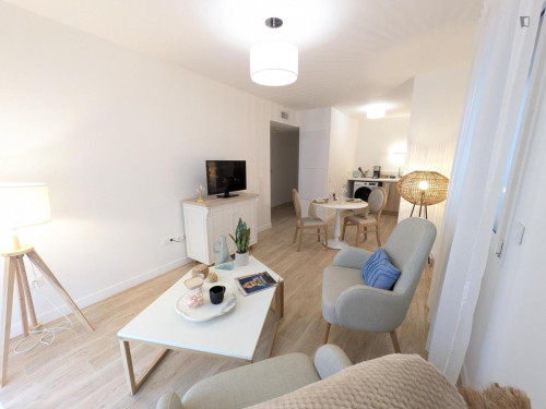 Nice 1-bedroom apartment in Nogent-sur-Marne