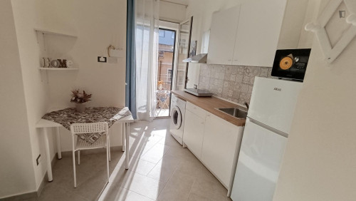 Bright Newly Renovated Central Studio with Balcony