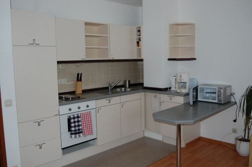Modern , Bright 1 Bedroom Apartment Erlangen Center - Gallery - 5