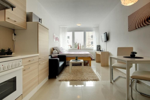Very nice furnished 1-room apartment with a terrace in Munich Schwabing-North / Milbertshofen