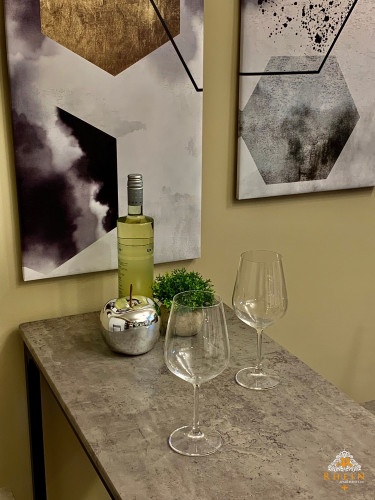 Top modernes Souterrain Apartment in Vallendar