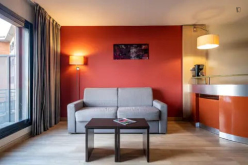 Very comfy 1-bedroom apartment in Blagnac