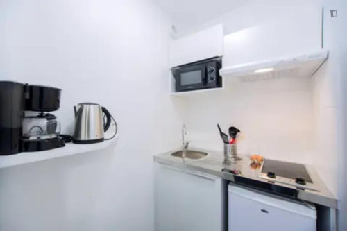 Tasteful 1-bedroom apartment in La Cepiere