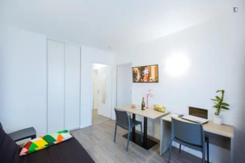 Tasteful 1-bedroom apartment in La Cepiere
