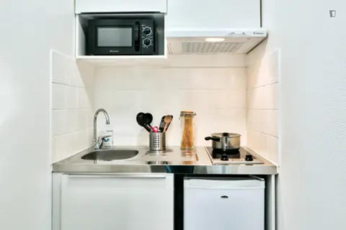 Inviting 1-bedroom apartment in La Cepiere neighbourhood  - Gallery -  5