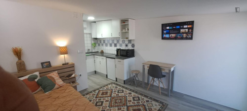 Sunny and lovely studio