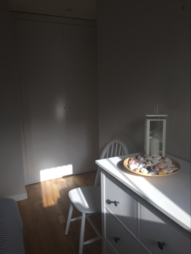 1-bedroom apartment, with balcony, sofa bed , next to Piazza Dante, University of Catania - Gallery - 19
