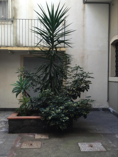 1-bedroom apartment, with balcony, sofa bed , next to Piazza Dante, University of Catania