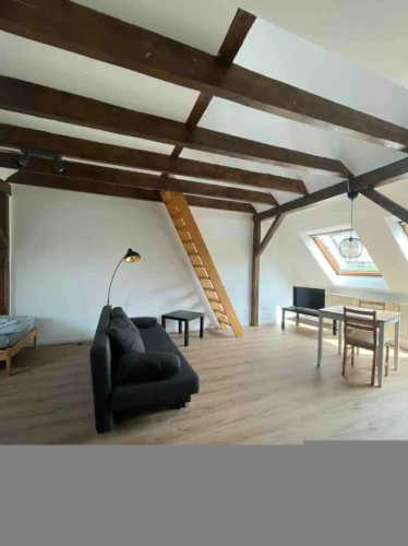 Sunny studio in Bochum-Centr - Gallery - 15