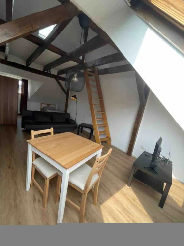 Sunny studio in Bochum-Centr - Gallery - 16