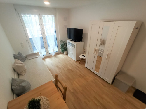 Beautiful & Bright Mid-Term Apartment in Munich