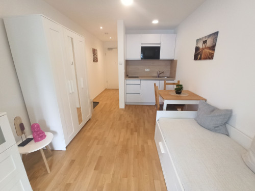 Beautiful & Bright Mid-Term Apartment in Munich