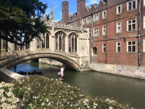 Homestay Consultancy