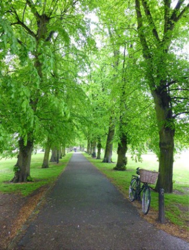 Homestay Consultancy  - Gallery -  5