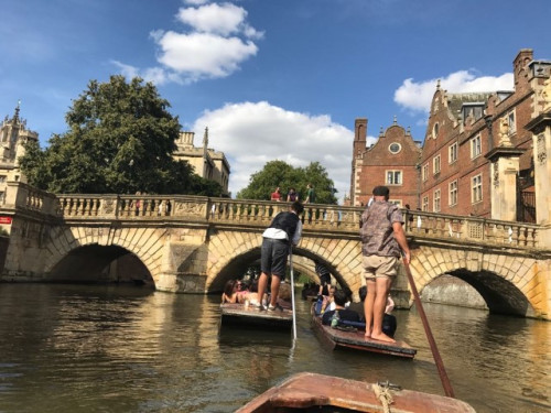 Homestay Consultancy