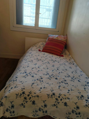 Avenue des Frères Lumière, Lyon