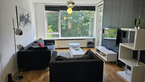 Asingaborg, Amsterdam