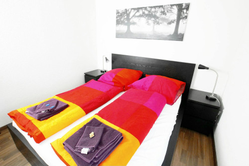 Schwamendingenstrasse, Zürich