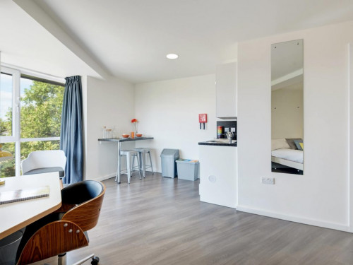 Asa Briggs House  - Gallery -  2