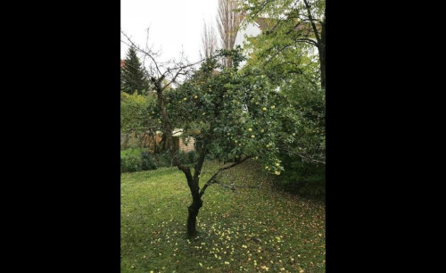 Friedrichsbrunner Straße, Berlin