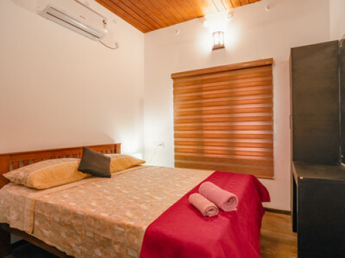NATURE LAND HOMESTAY ALAPPUZHA  - Gallery - 10